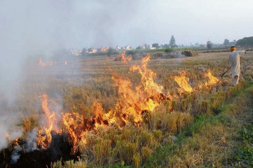 ਪਰਾਲੀ ਪ੍ਰਦੂਸ਼ਣ : 165 ਕਿਸਾਨਾਂ ਦੇ ਰਿਕਾਰਡ &rsquo;ਚ ਰੈੱਡ ਐਂਟਰੀ !